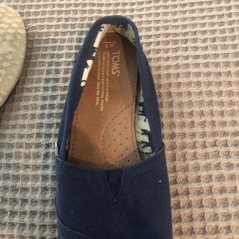 Navy Blue Toms slip on
